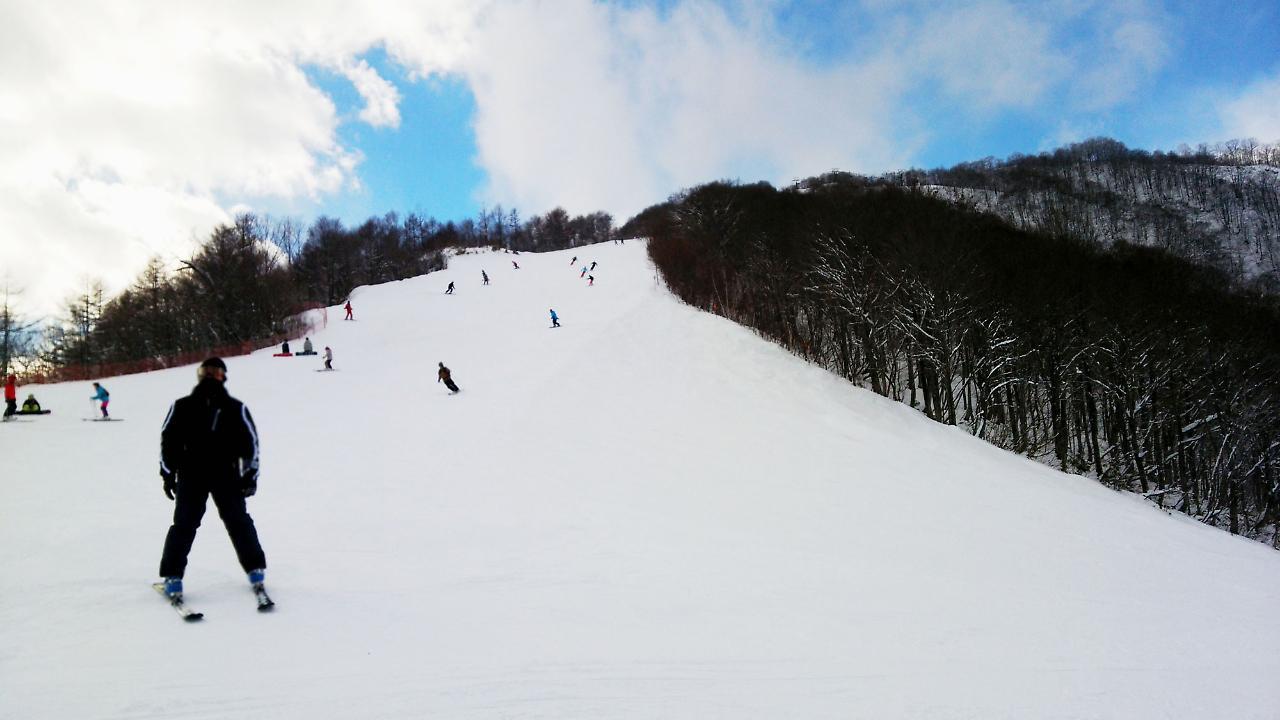 Pals Inn Raicho Hakuba Bagian luar foto